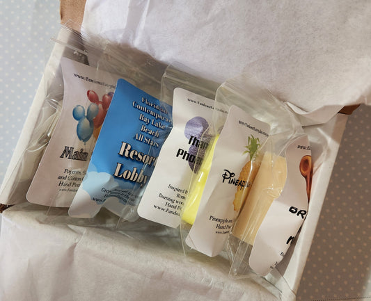 Mini Magical Theme Park Sampler- Our Top 5 Theme Park Scents